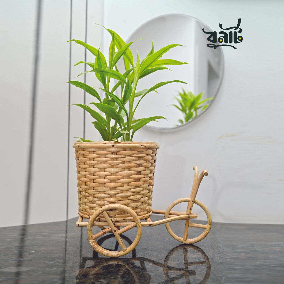 Cane Cycle Planter