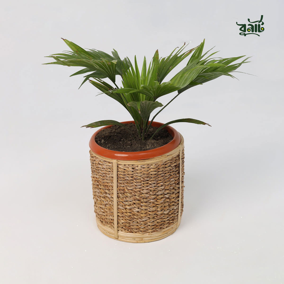 Cane & Seagrass Planter Cylinder - Bonart