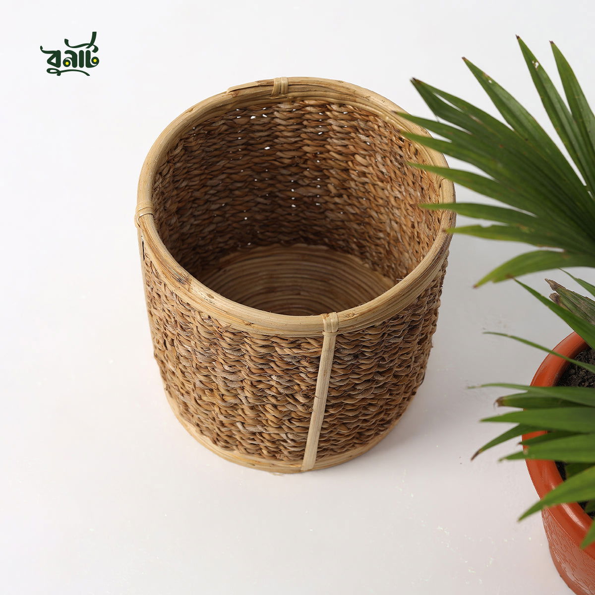 Cane & Seagrass Planter Cylinder - Bonart