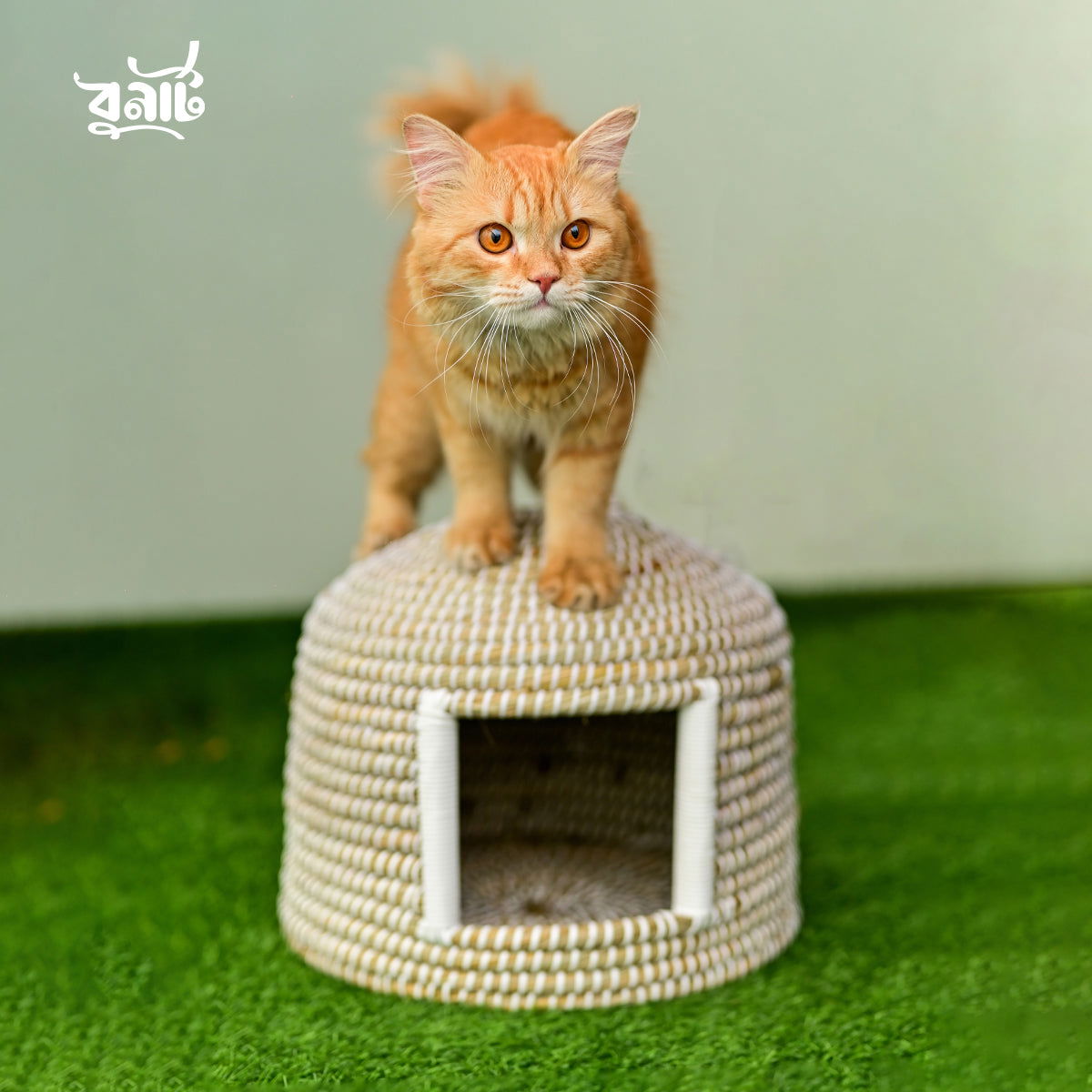 Kaisa Grass Cat House - Bonart