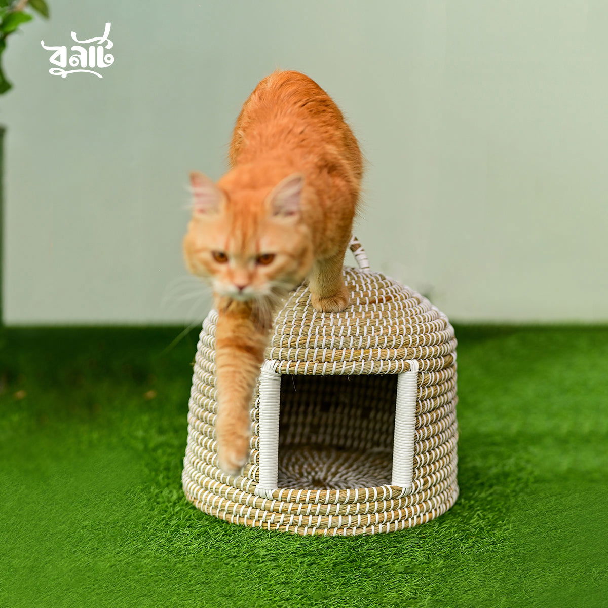 Kaisa Grass Cat House - Bonart