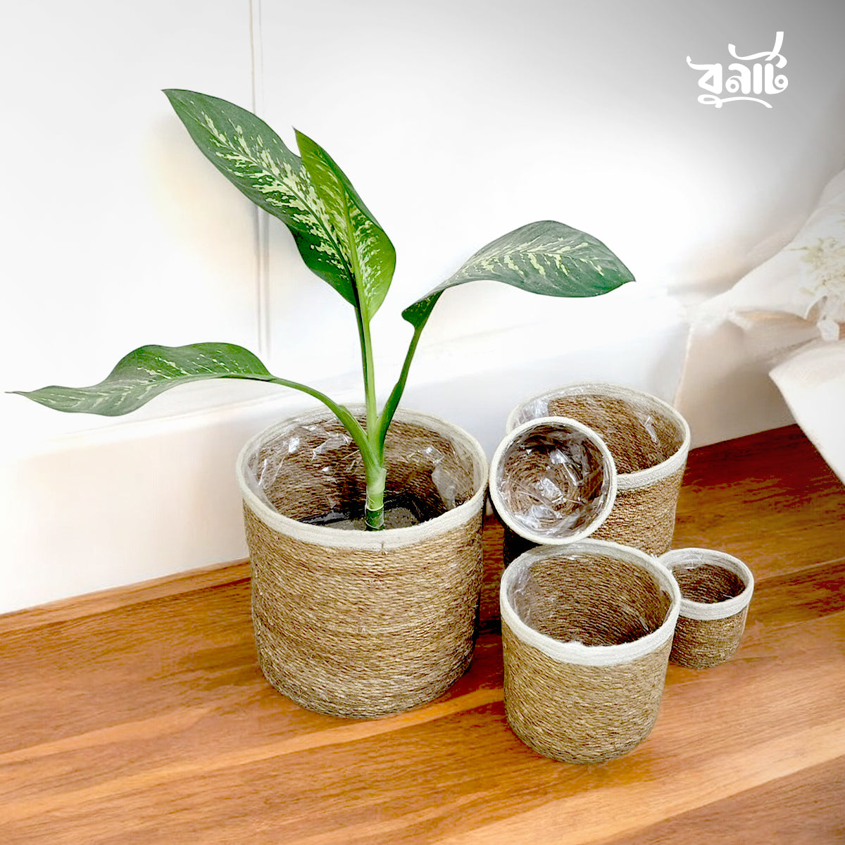 Hogla & Jute Fiber Planter (Set of Five)