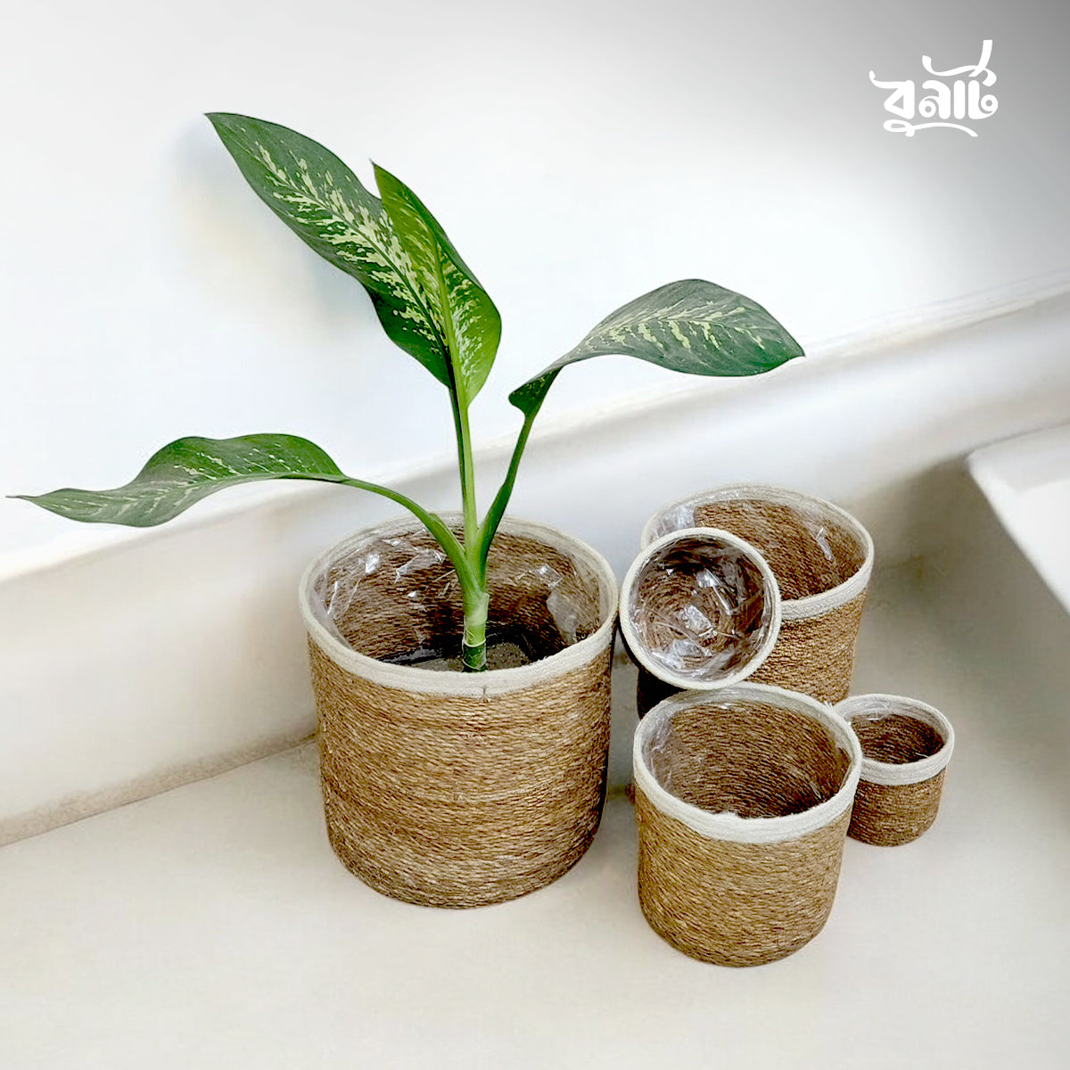 Hogla & Jute Fiber Planter (Set of Five)